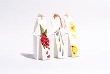 Load image into Gallery viewer, COLLABS - Little Triffids Flowers + Two Brown Cats
